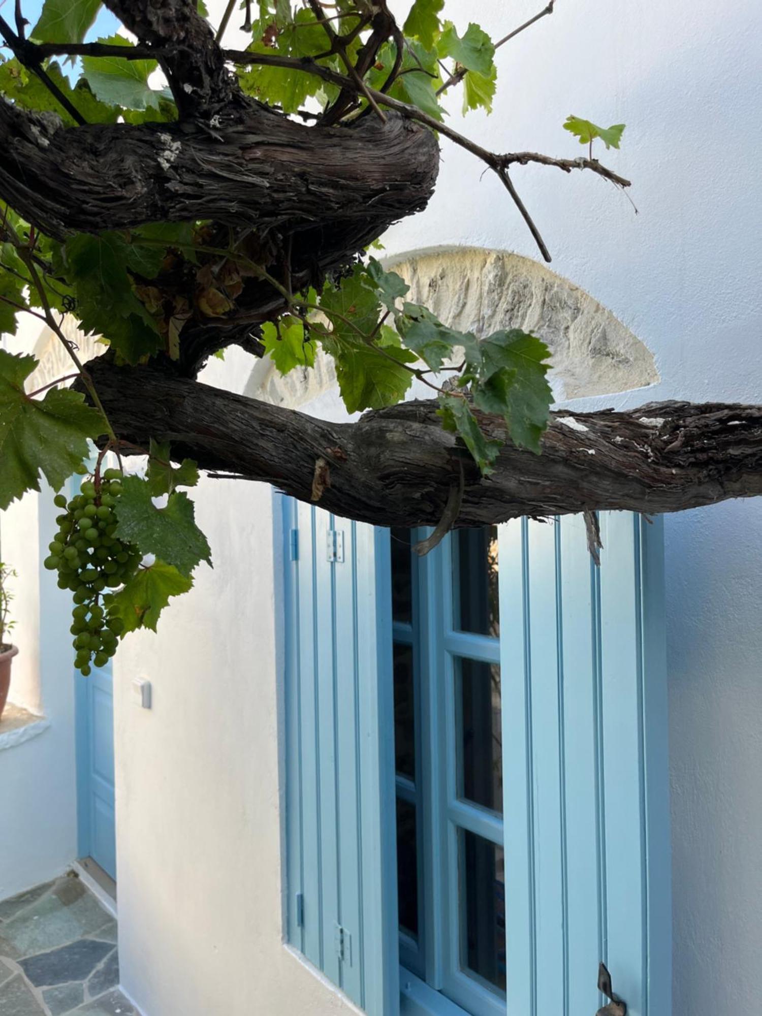 Dream House Little Villa - Amorgos Luaran gambar