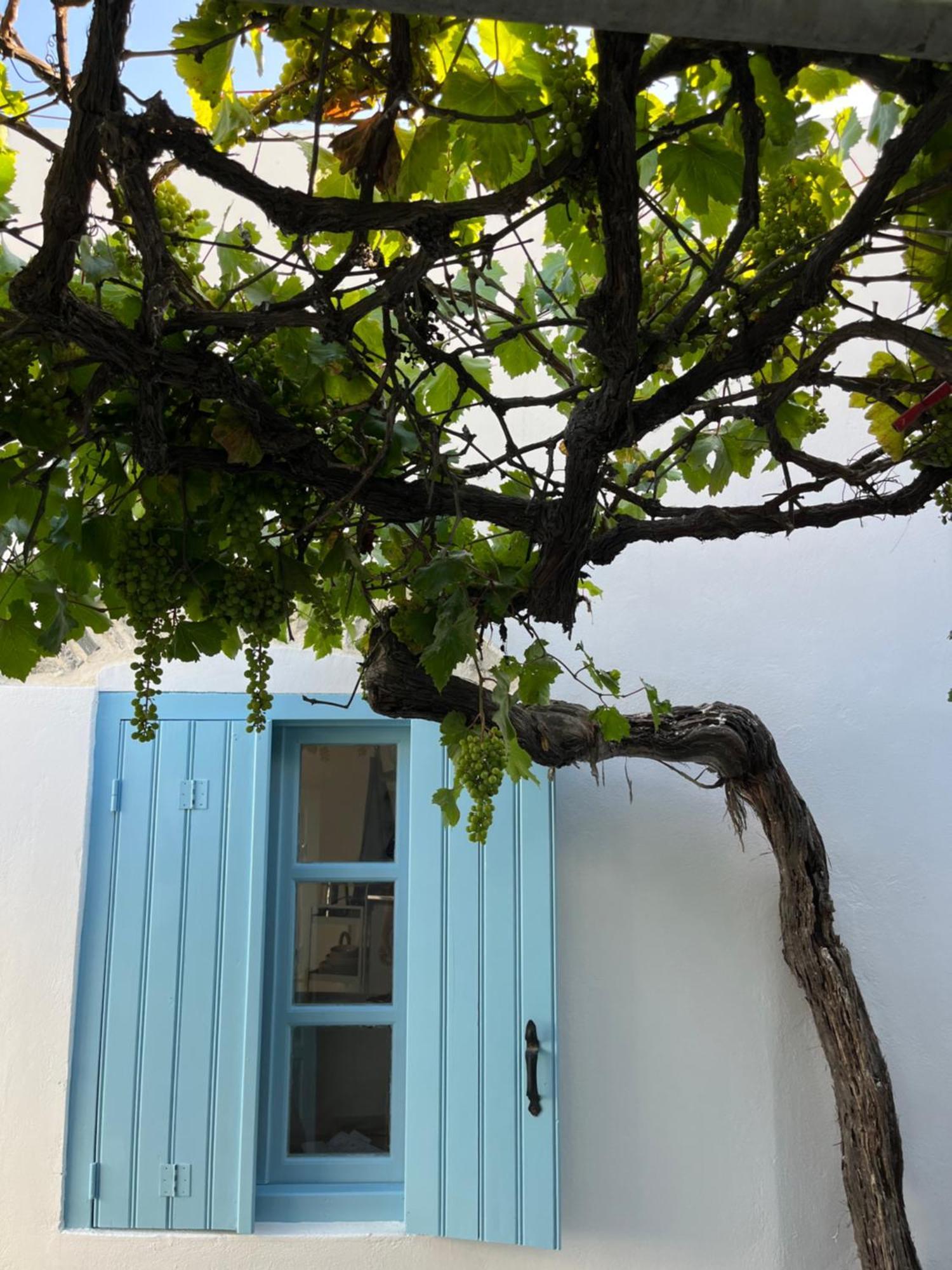 Dream House Little Villa - Amorgos Luaran gambar